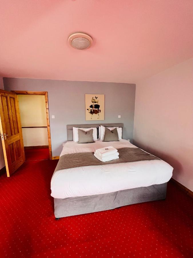 Dingle Marina Lodge Екстер'єр фото