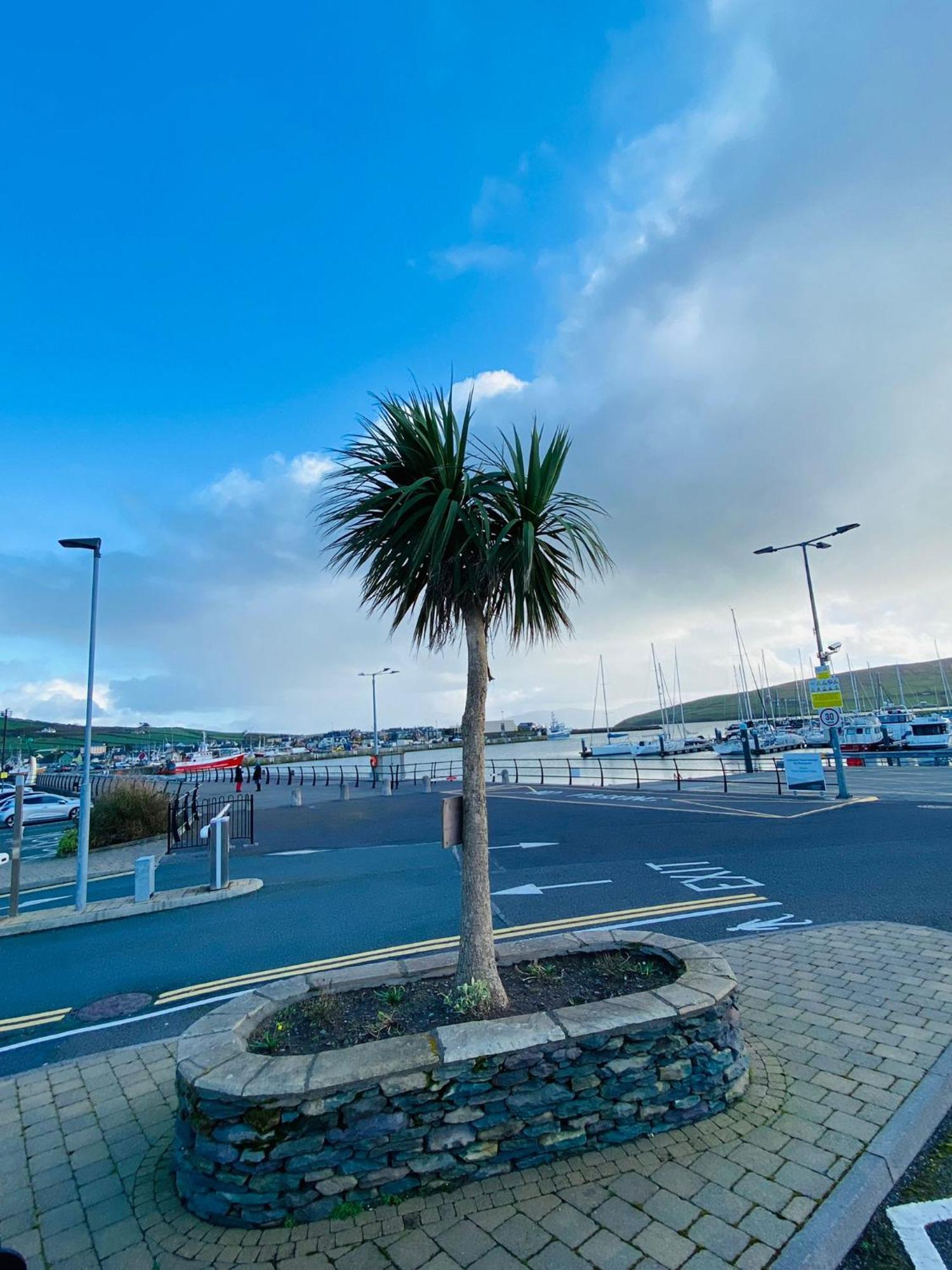 Dingle Marina Lodge Екстер'єр фото